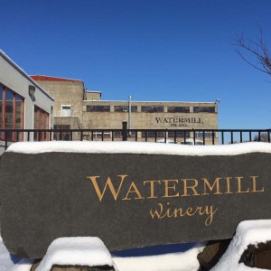 Watermill Estate Vineyard
